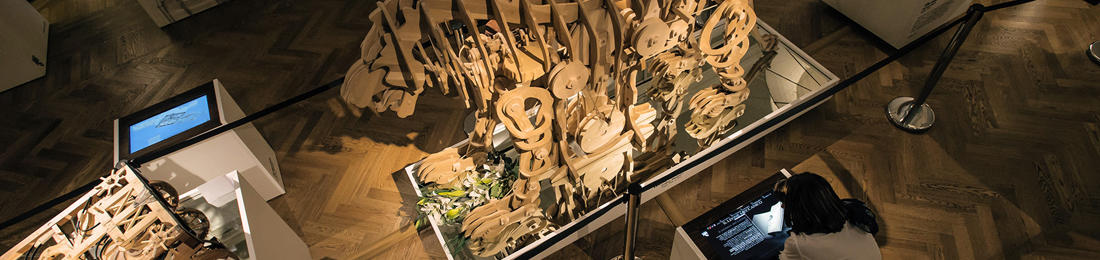 Leonardo Da Vinci's Museum